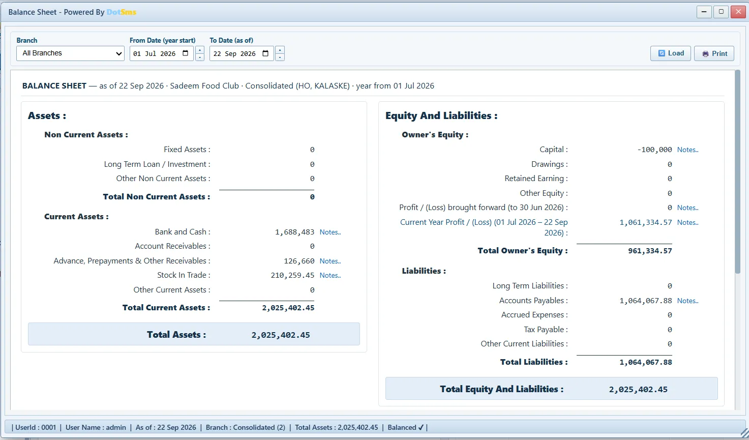 Balance Sheet screen in Dot Sms Business One